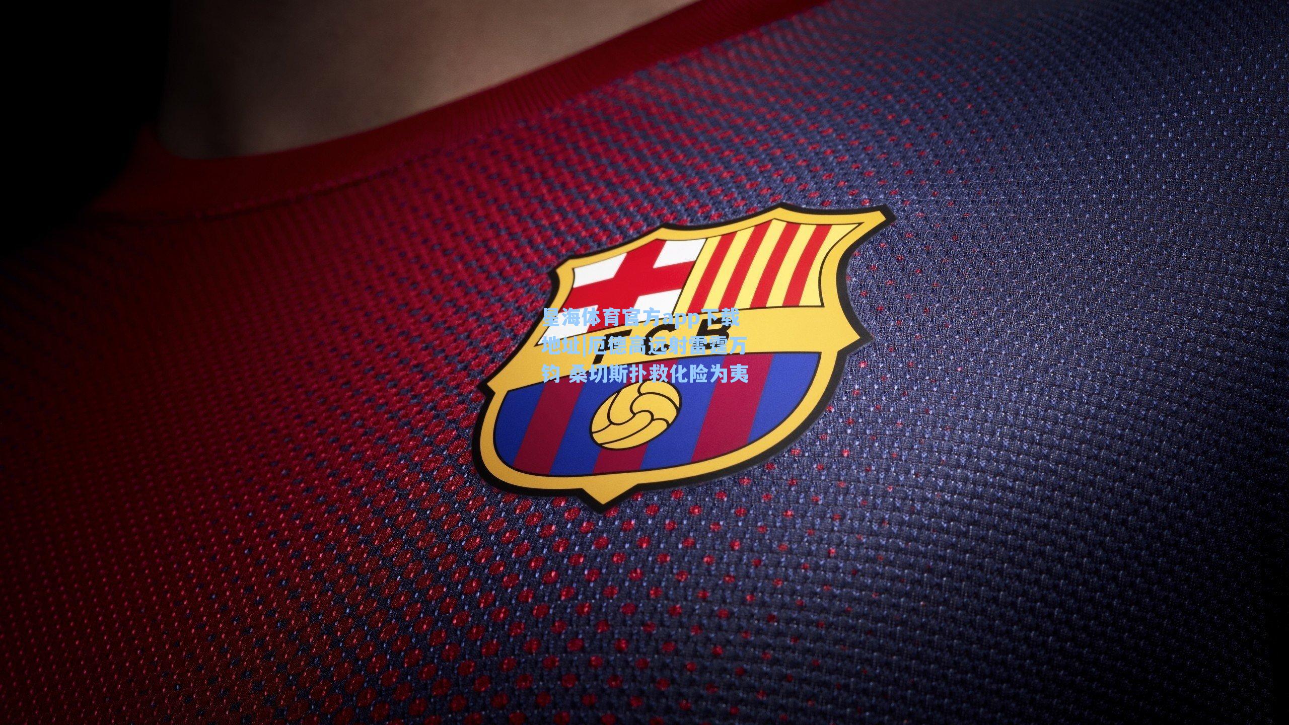 厄德高远射雷霆万钧 桑切斯扑救化险为夷