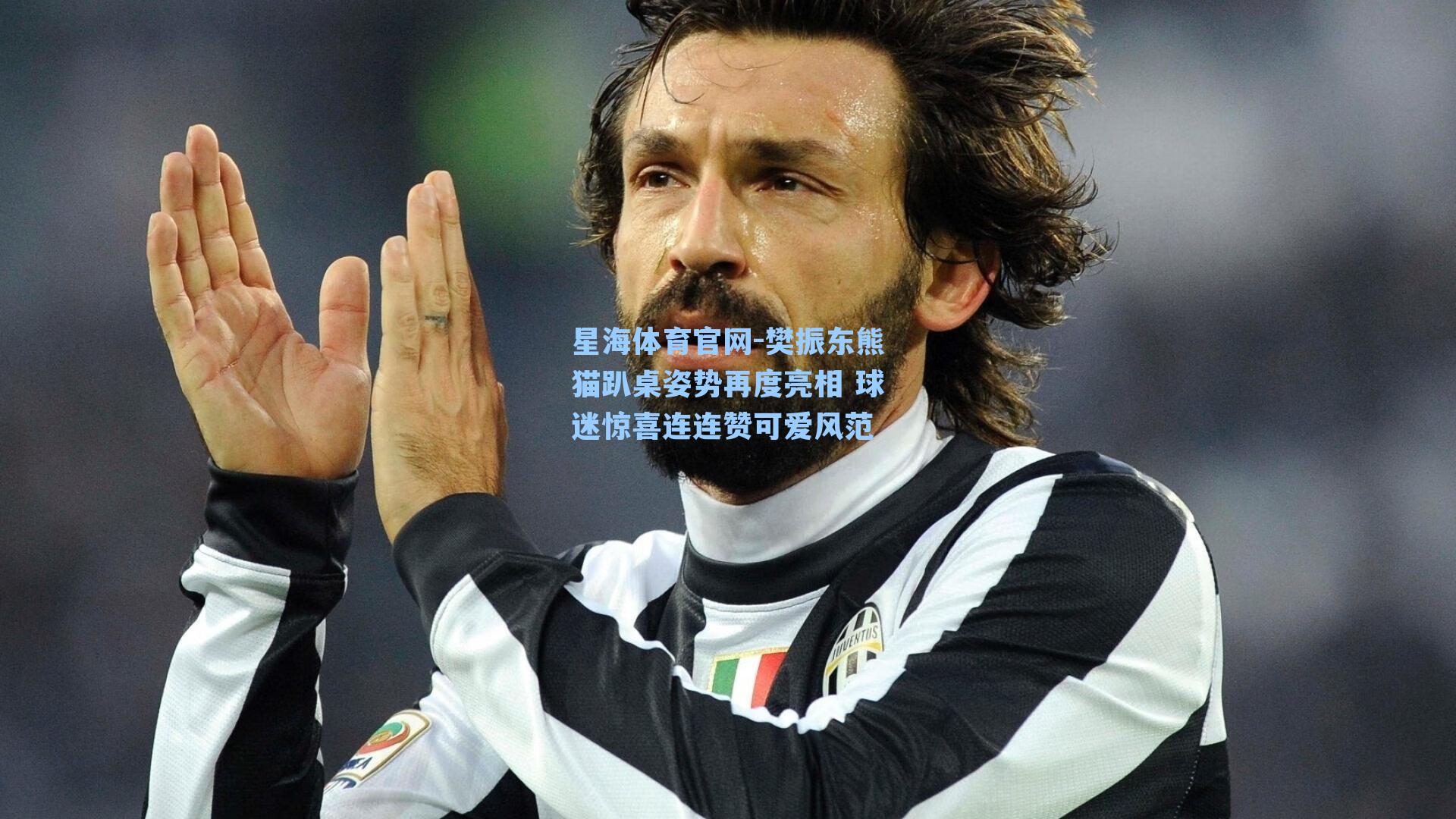 樊振东熊猫趴桌姿势再度亮相 球迷惊喜连连赞可爱风范