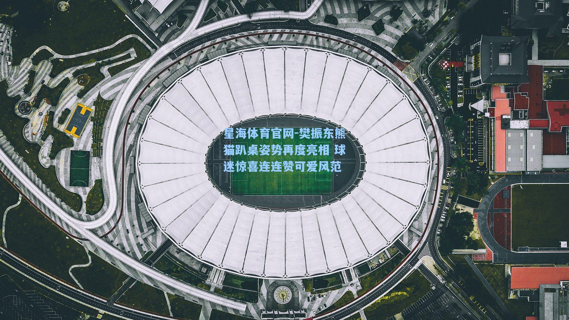 樊振东熊猫趴桌姿势再度亮相 球迷惊喜连连赞可爱风范